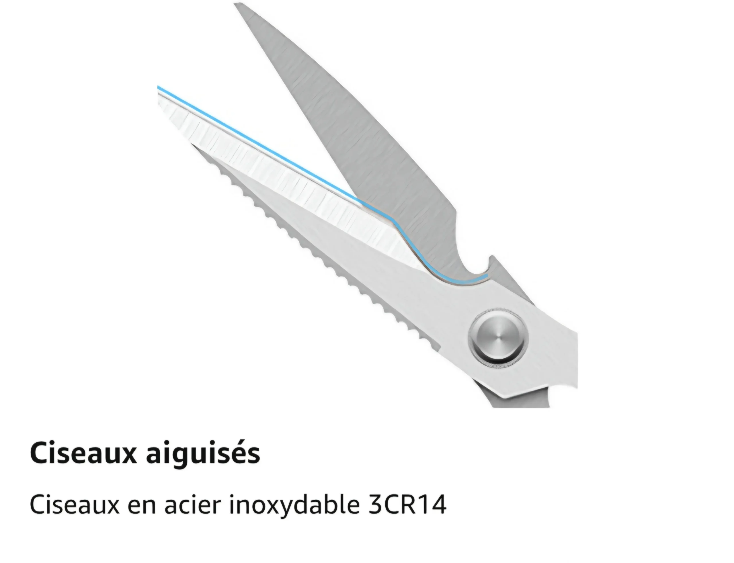 Ciseau alimentaire – Image 9