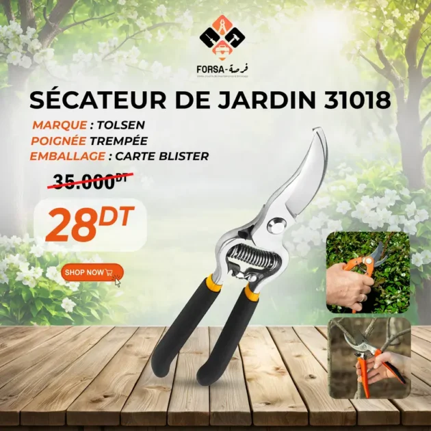 Sécateur de jardin 31018