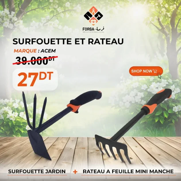 Surfouette et rateau a feuille mini manche