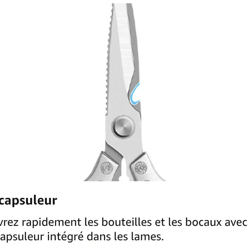 Ciseau alimentaire – Image 7
