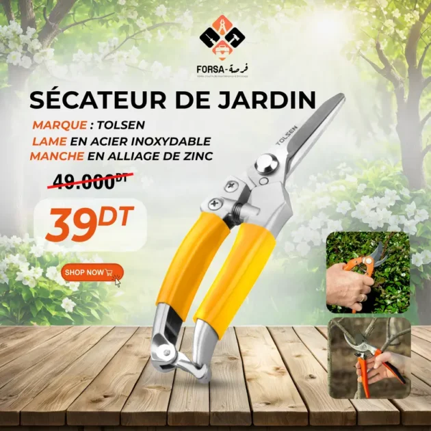 Sécateur de jardin PRO 31032