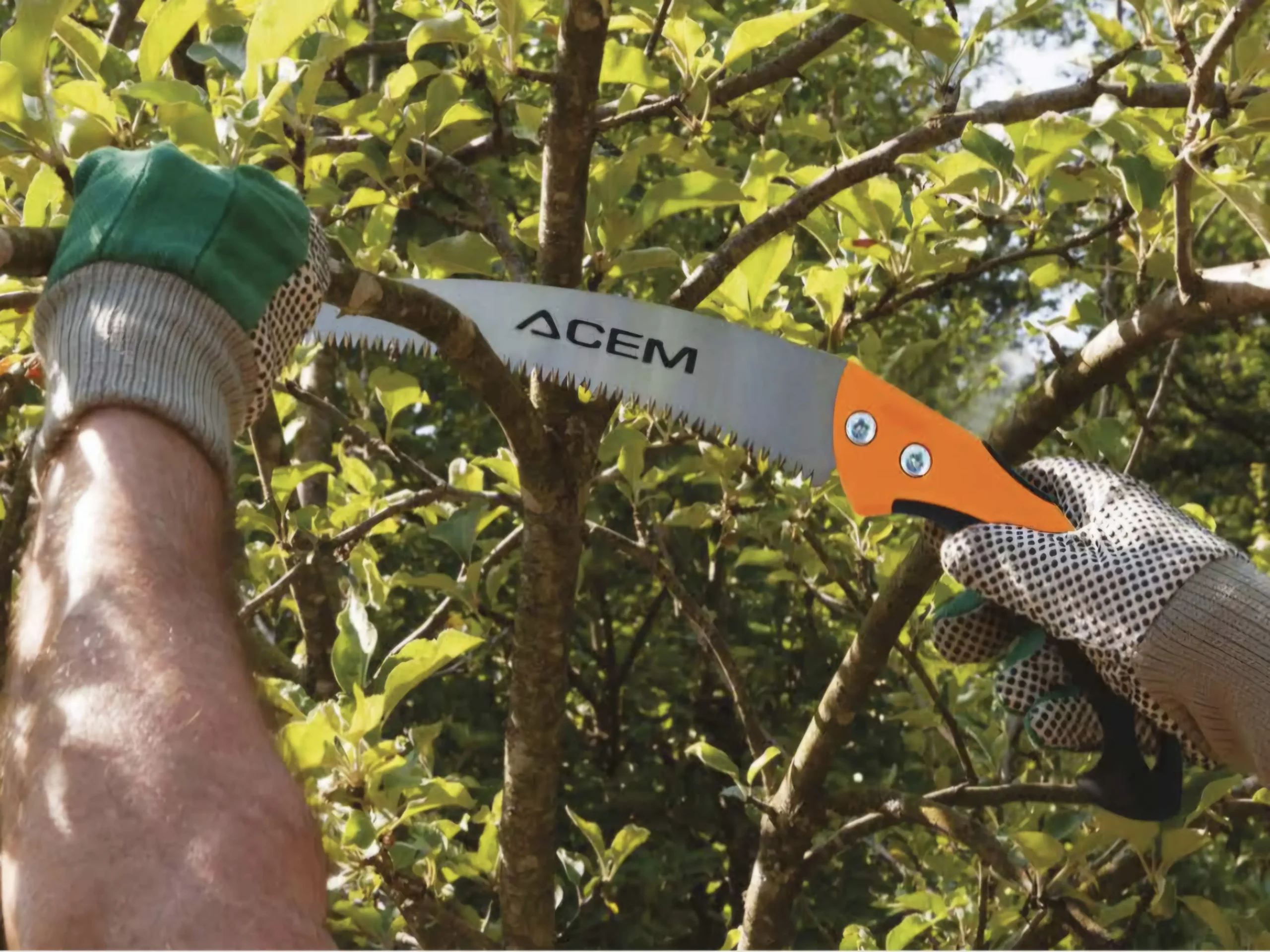 Pack jardinage acem – Image 2